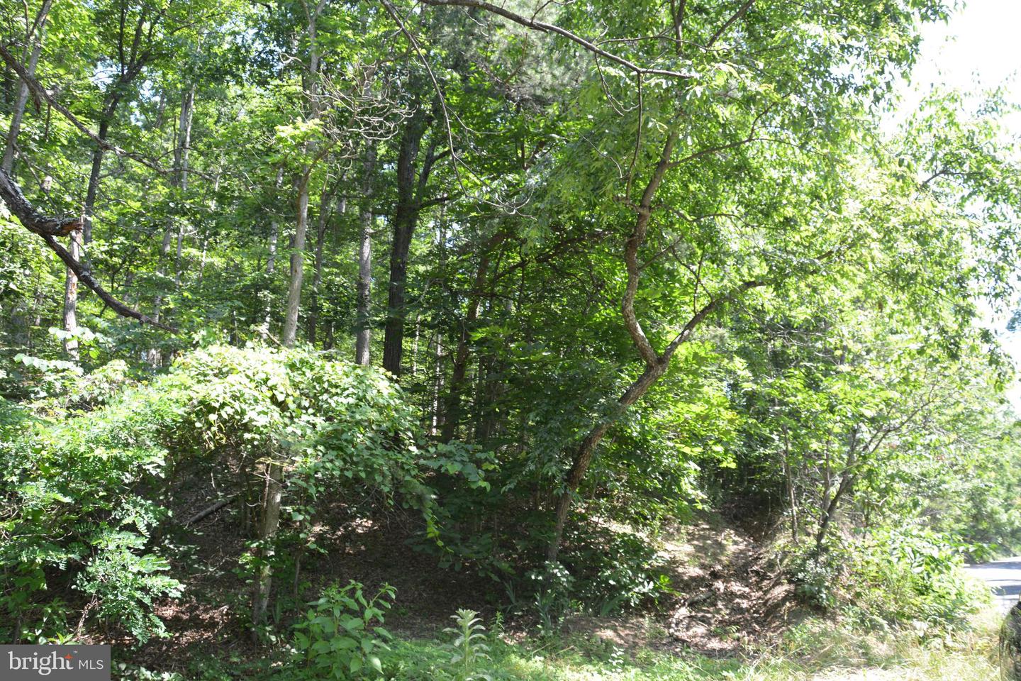 596 BACK CREEK RD, GORE, Virginia 22637, ,Land,For sale,596 BACK CREEK RD,VAFV2035116 MLS # VAFV2035116