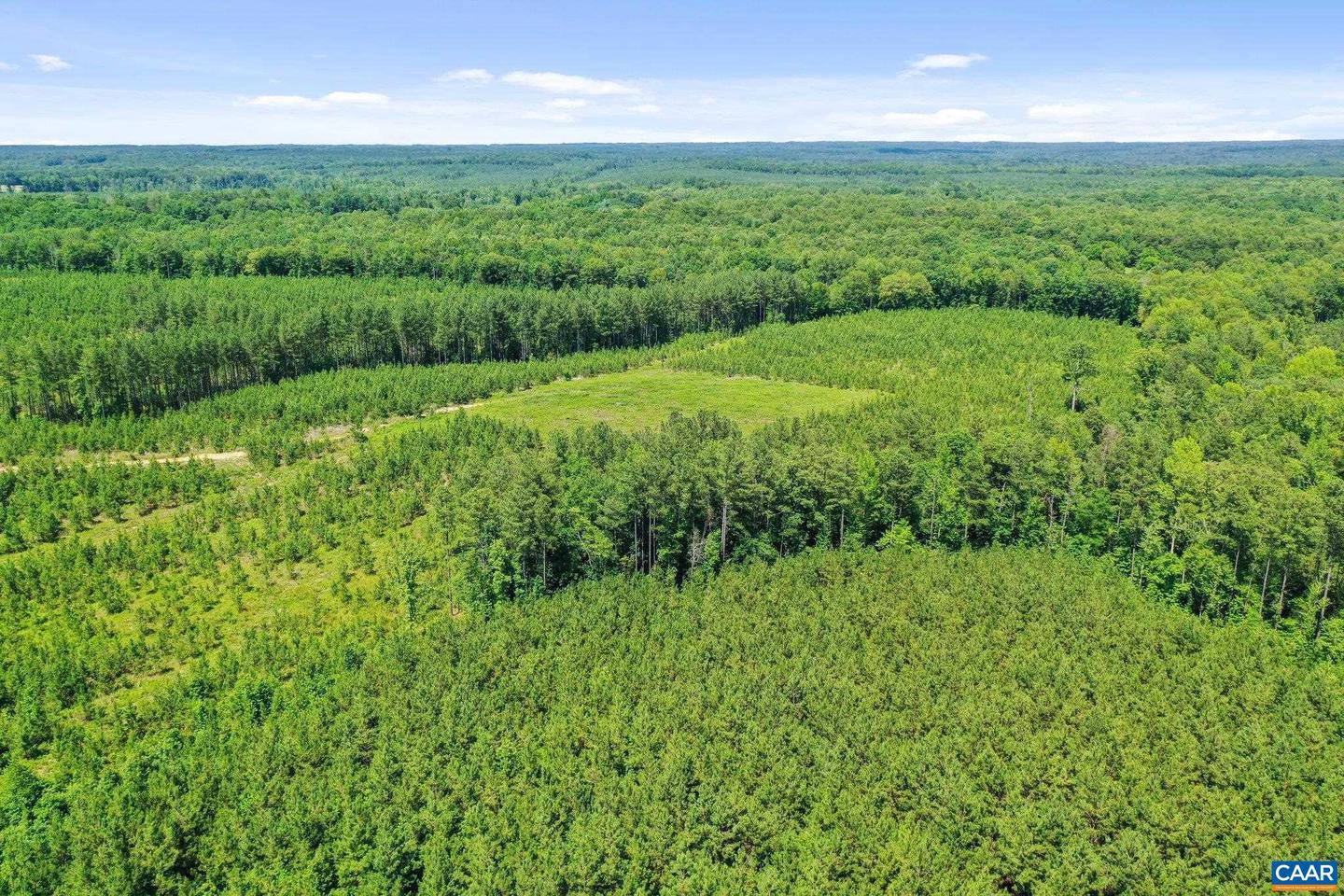 LOT 4 RISING SUN RD, PALMYRA, Virginia 22963, ,Land,For sale,LOT 4 RISING SUN RD,666138 MLS # 666138