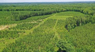 LOT 4 RISING SUN RD, PALMYRA, Virginia 22963, ,Land,For sale,LOT 4 RISING SUN RD,666138 MLS # 666138