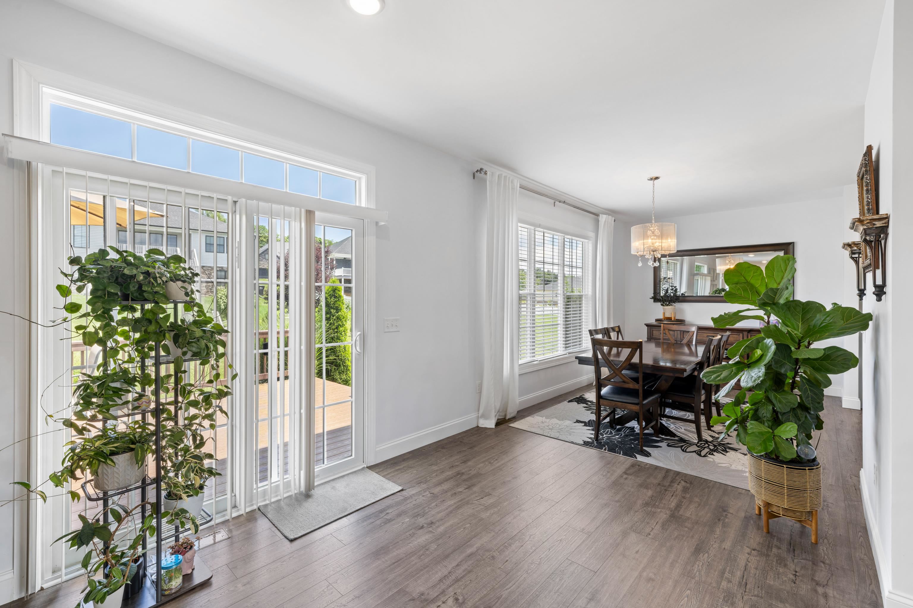 *abundant natural light