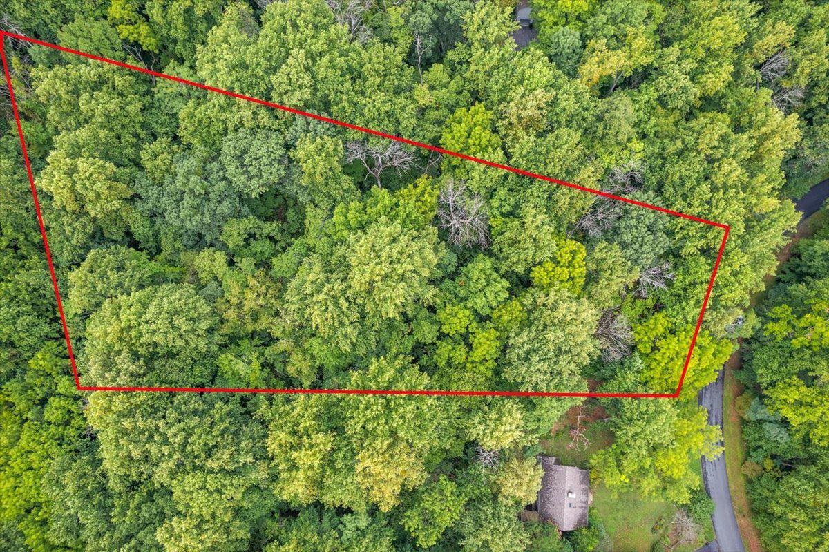 233 STONE CHIMNEYS RD, NELLYSFORD, Virginia 22958, ,Land,233 STONE CHIMNEYS RD,666159 MLS # 666159