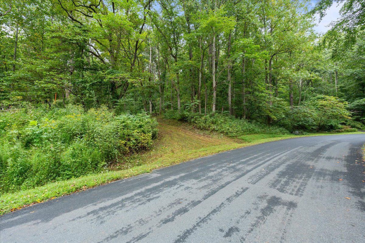 233 STONE CHIMNEYS RD, NELLYSFORD, Virginia 22958, ,Land,233 STONE CHIMNEYS RD,666159 MLS # 666159