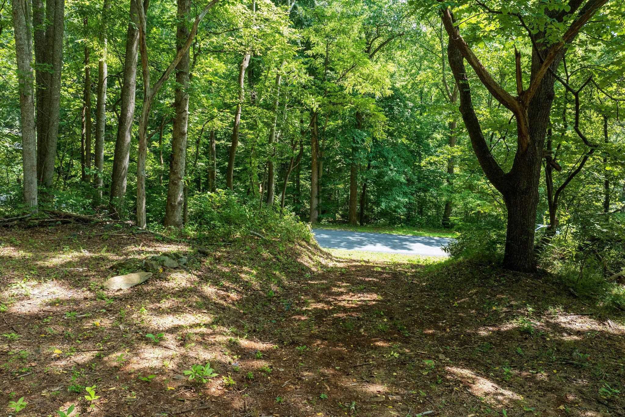 233 STONE CHIMNEYS RD, NELLYSFORD, Virginia 22958, ,Land,233 STONE CHIMNEYS RD,666159 MLS # 666159