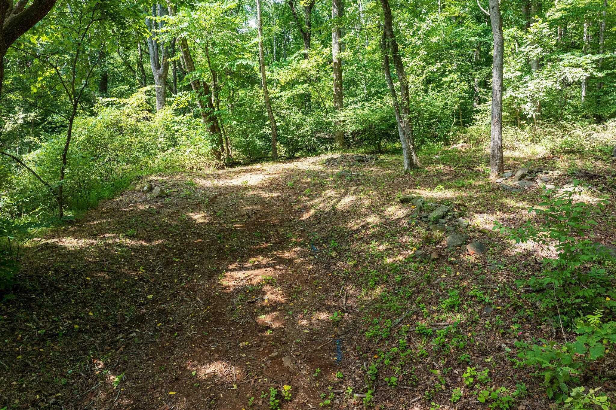 233 STONE CHIMNEYS RD, NELLYSFORD, Virginia 22958, ,Land,233 STONE CHIMNEYS RD,666159 MLS # 666159