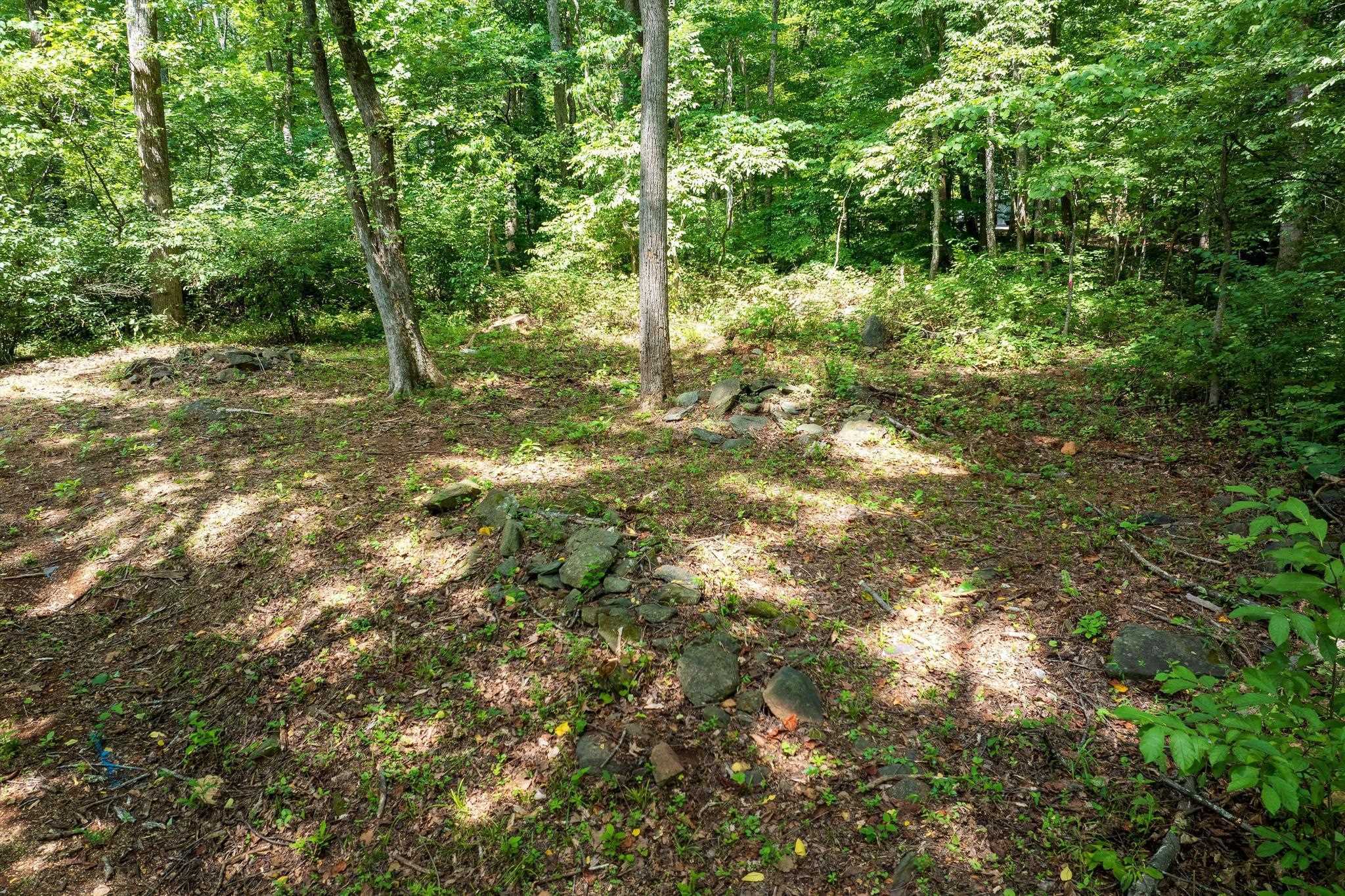 233 STONE CHIMNEYS RD, NELLYSFORD, Virginia 22958, ,Land,233 STONE CHIMNEYS RD,666159 MLS # 666159
