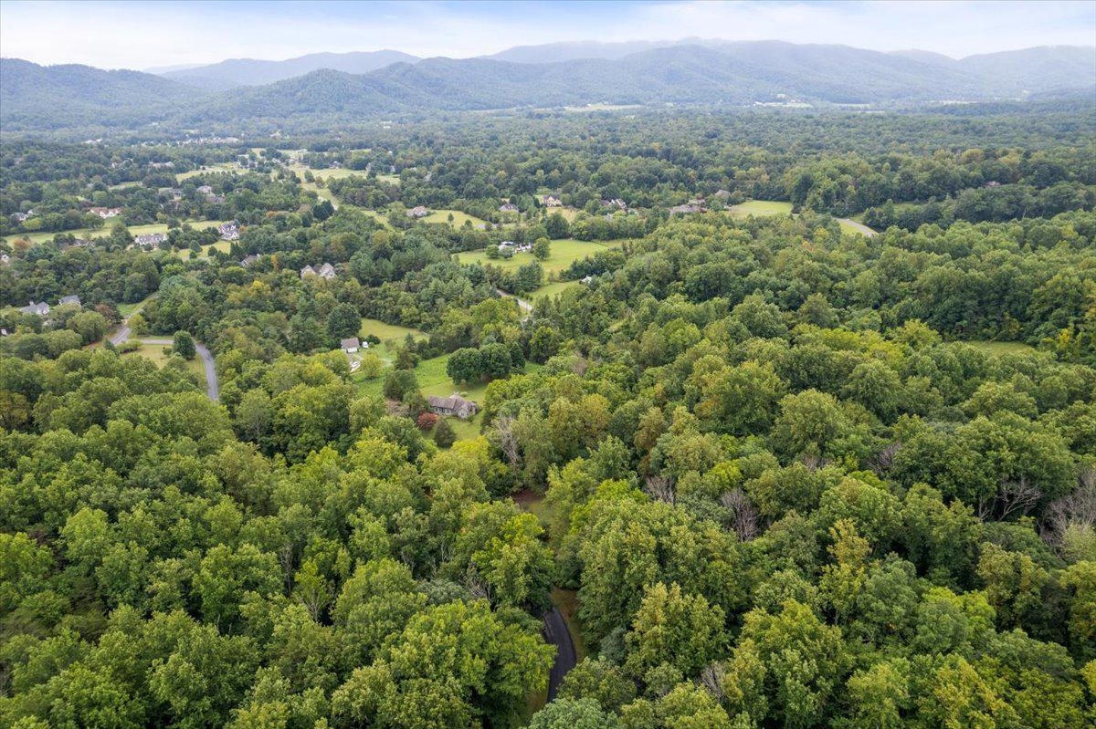233 STONE CHIMNEYS RD, NELLYSFORD, Virginia 22958, ,Land,233 STONE CHIMNEYS RD,666159 MLS # 666159