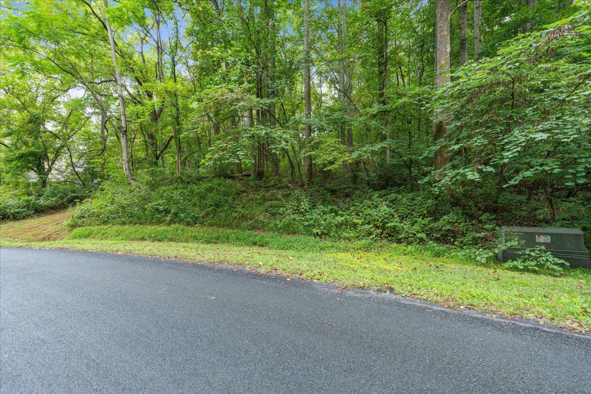 233 STONE CHIMNEYS RD, NELLYSFORD, Virginia 22958, ,Land,233 STONE CHIMNEYS RD,666159 MLS # 666159