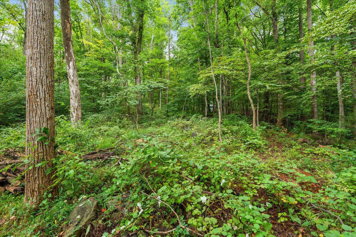 233 STONE CHIMNEYS RD, NELLYSFORD, Virginia 22958, ,Land,233 STONE CHIMNEYS RD,666159 MLS # 666159