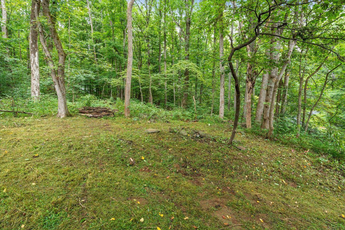233 STONE CHIMNEYS RD, NELLYSFORD, Virginia 22958, ,Land,233 STONE CHIMNEYS RD,666159 MLS # 666159