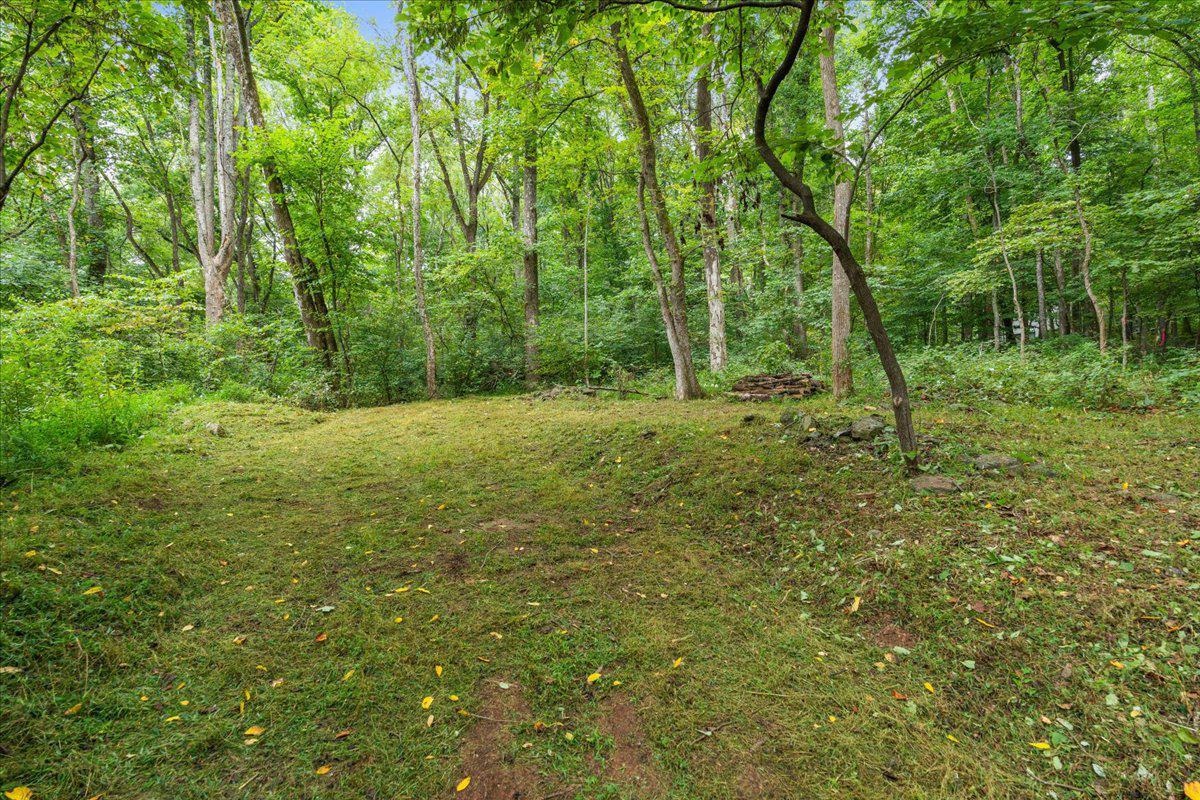 233 STONE CHIMNEYS RD, NELLYSFORD, Virginia 22958, ,Land,233 STONE CHIMNEYS RD,666159 MLS # 666159