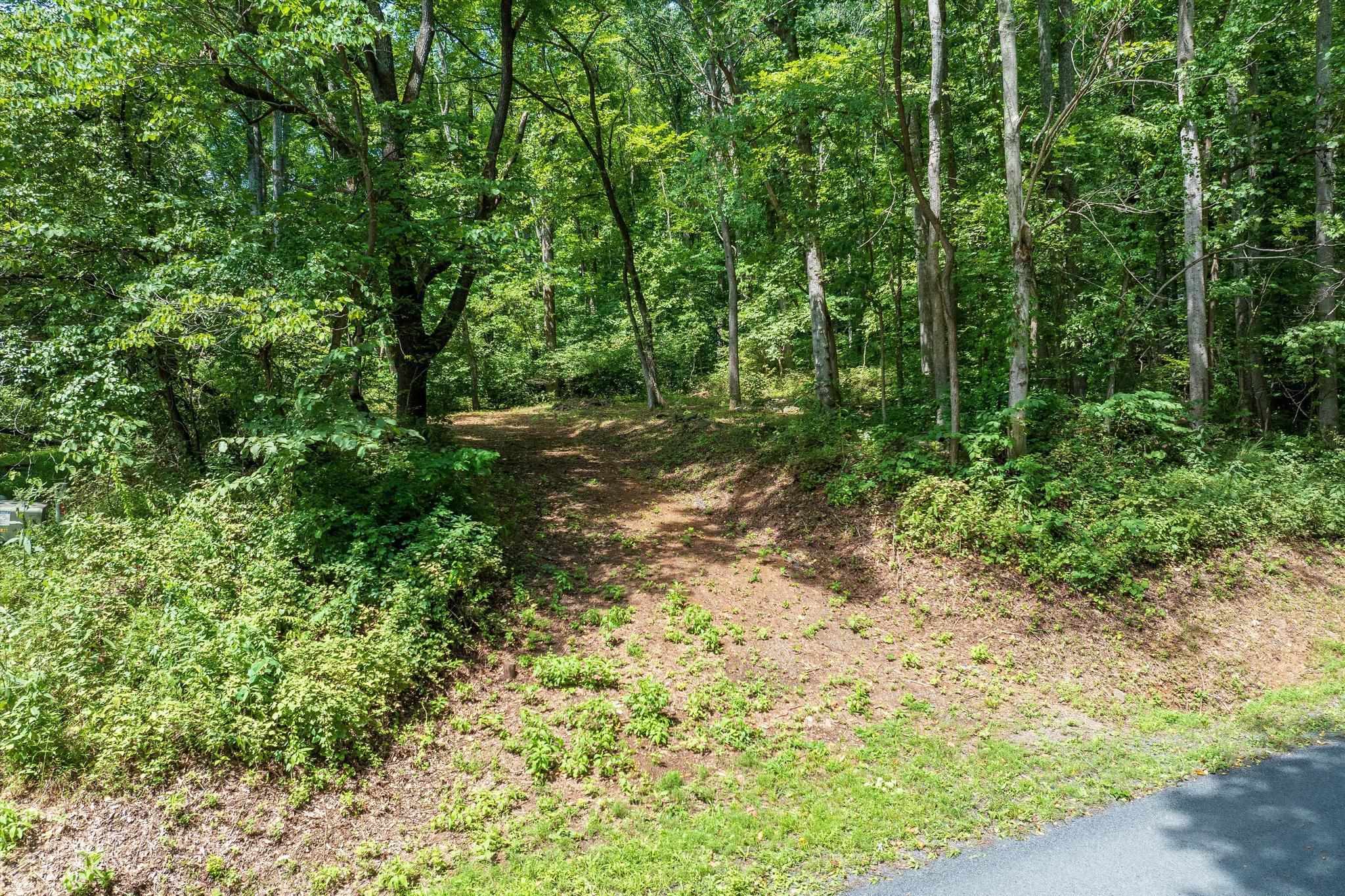 233 STONE CHIMNEYS RD, NELLYSFORD, Virginia 22958, ,Land,233 STONE CHIMNEYS RD,666159 MLS # 666159