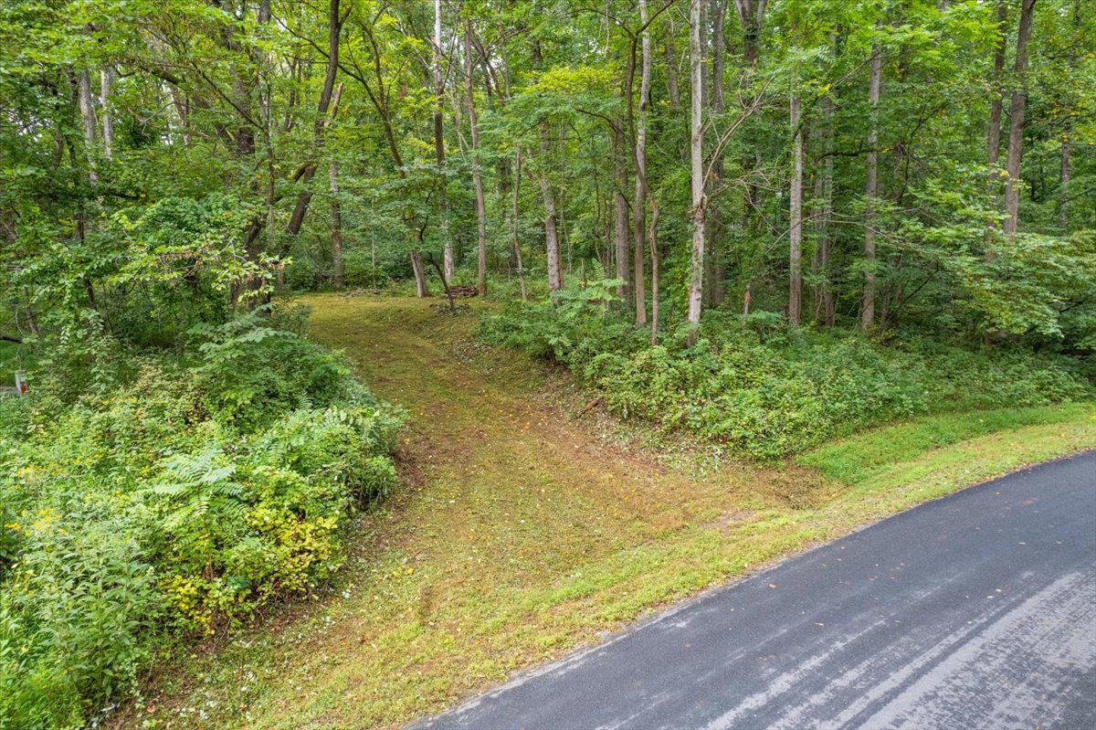 233 STONE CHIMNEYS RD, NELLYSFORD, Virginia 22958, ,Land,233 STONE CHIMNEYS RD,666159 MLS # 666159