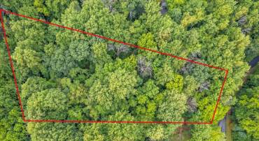 233 STONE CHIMNEYS RD, NELLYSFORD, Virginia 22958, ,Land,233 STONE CHIMNEYS RD,666159 MLS # 666159