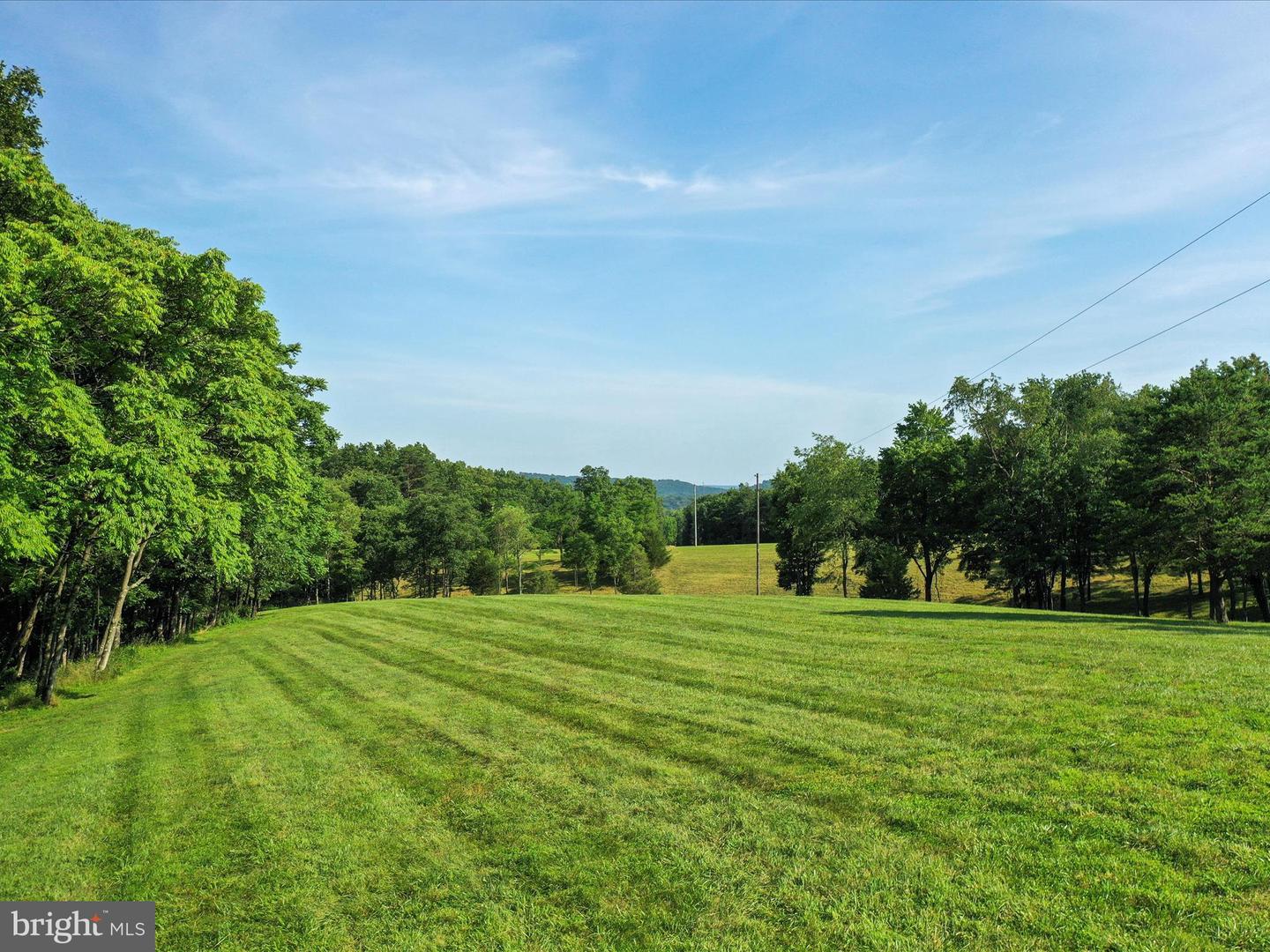 1297 EBENEZER CHURCH RD, GORE, Virginia 22637, ,Land,For sale,1297 EBENEZER CHURCH RD,VAFV2034642 MLS # VAFV2034642