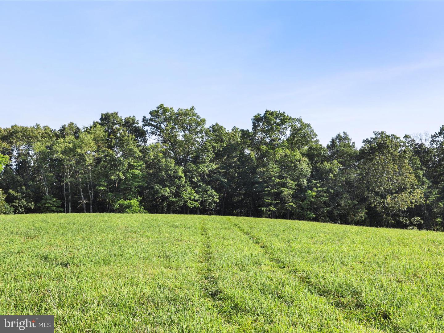 1297 EBENEZER CHURCH RD, GORE, Virginia 22637, ,Land,For sale,1297 EBENEZER CHURCH RD,VAFV2034642 MLS # VAFV2034642