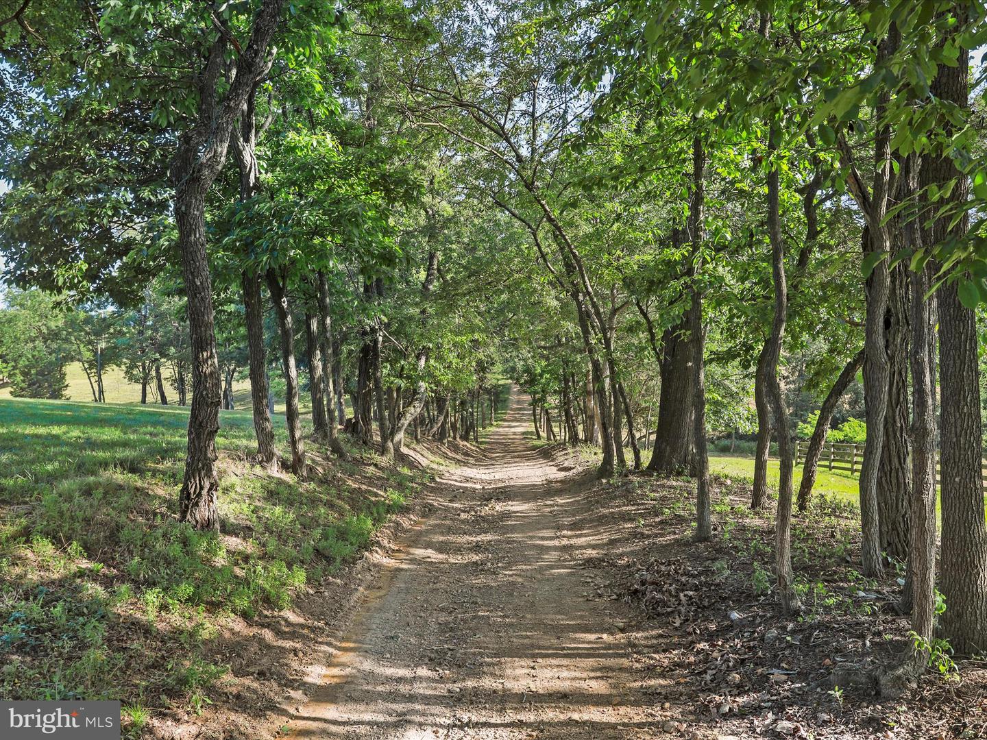 1297 EBENEZER CHURCH RD, GORE, Virginia 22637, ,Land,For sale,1297 EBENEZER CHURCH RD,VAFV2034642 MLS # VAFV2034642