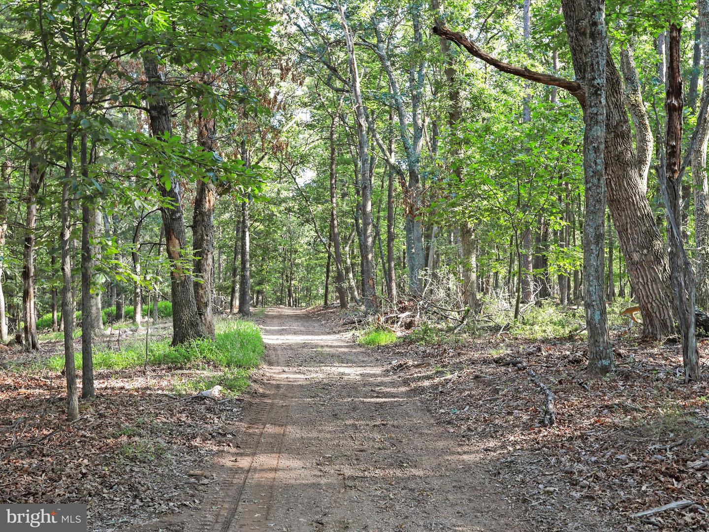 1297 EBENEZER CHURCH RD, GORE, Virginia 22637, ,Land,For sale,1297 EBENEZER CHURCH RD,VAFV2034642 MLS # VAFV2034642