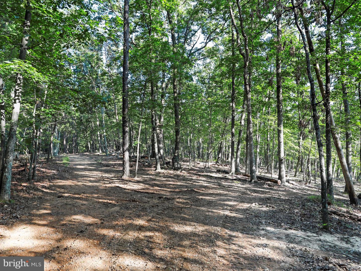 1297 EBENEZER CHURCH RD, GORE, Virginia 22637, ,Land,For sale,1297 EBENEZER CHURCH RD,VAFV2034642 MLS # VAFV2034642