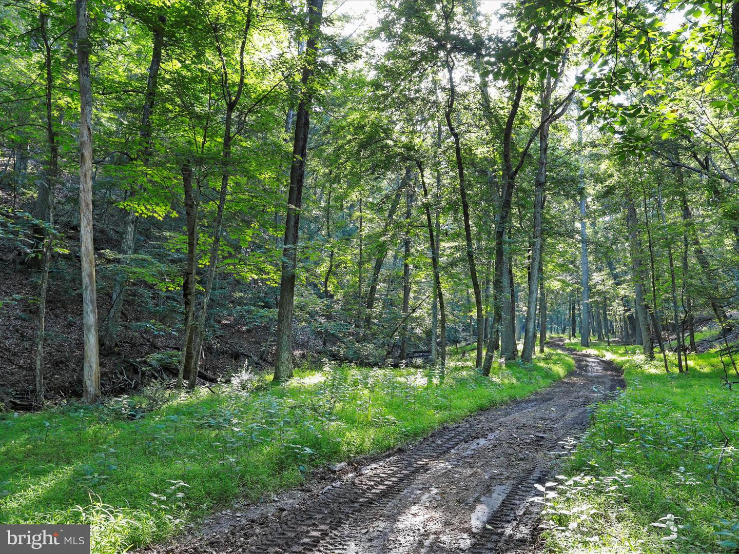 1297 EBENEZER CHURCH RD, GORE, Virginia 22637, ,Land,For sale,1297 EBENEZER CHURCH RD,VAFV2034642 MLS # VAFV2034642