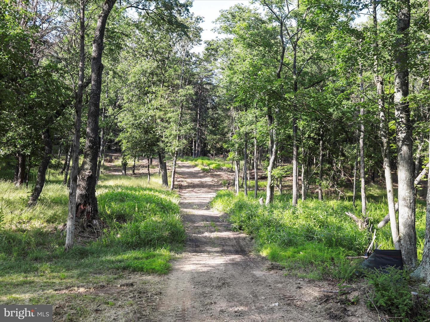 1297 EBENEZER CHURCH RD, GORE, Virginia 22637, ,Land,For sale,1297 EBENEZER CHURCH RD,VAFV2034642 MLS # VAFV2034642