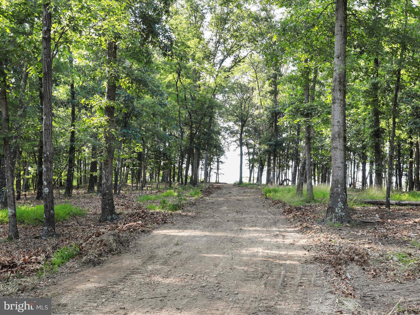 1297 EBENEZER CHURCH RD, GORE, Virginia 22637, ,Land,For sale,1297 EBENEZER CHURCH RD,VAFV2034642 MLS # VAFV2034642