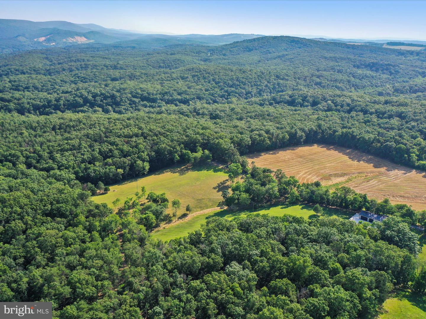 1297 EBENEZER CHURCH RD, GORE, Virginia 22637, ,Land,For sale,1297 EBENEZER CHURCH RD,VAFV2034642 MLS # VAFV2034642