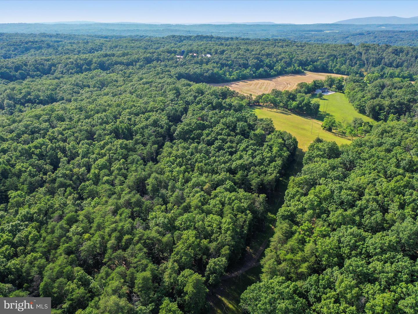 1297 EBENEZER CHURCH RD, GORE, Virginia 22637, ,Land,For sale,1297 EBENEZER CHURCH RD,VAFV2034642 MLS # VAFV2034642
