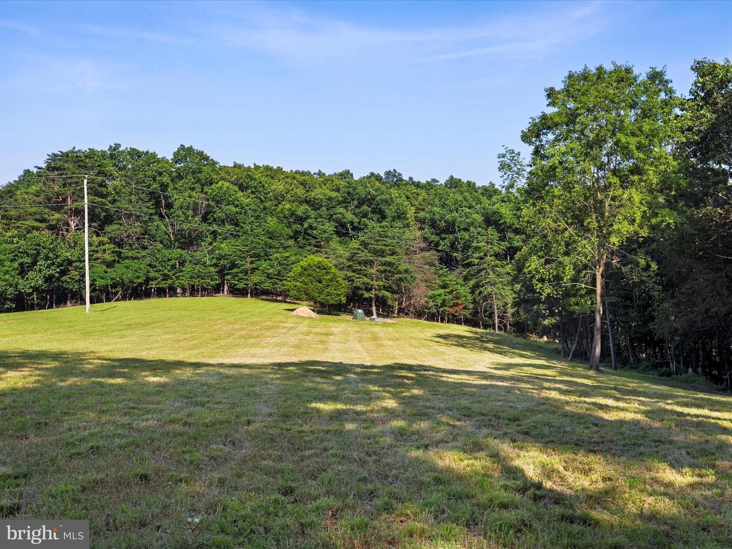 1297 EBENEZER CHURCH RD, GORE, Virginia 22637, ,Land,For sale,1297 EBENEZER CHURCH RD,VAFV2034642 MLS # VAFV2034642