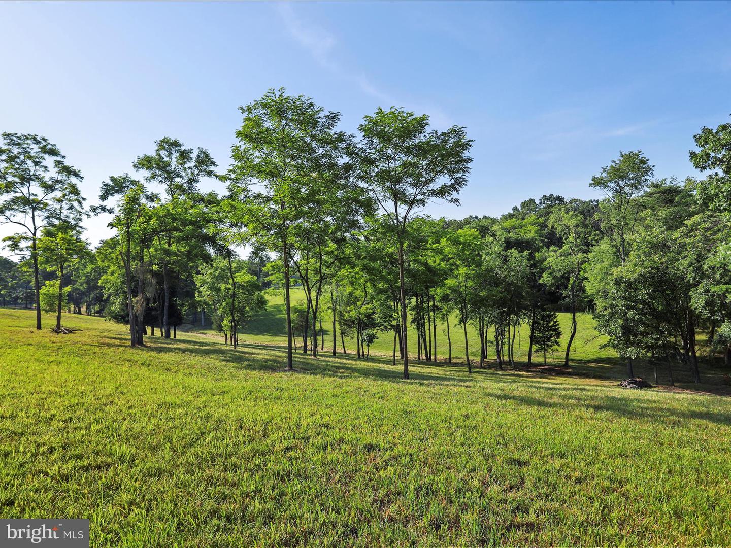 1297 EBENEZER CHURCH RD, GORE, Virginia 22637, ,Land,For sale,1297 EBENEZER CHURCH RD,VAFV2034642 MLS # VAFV2034642
