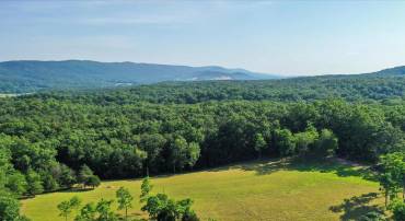 1297 EBENEZER CHURCH RD, GORE, Virginia 22637, ,Land,For sale,1297 EBENEZER CHURCH RD,VAFV2034642 MLS # VAFV2034642