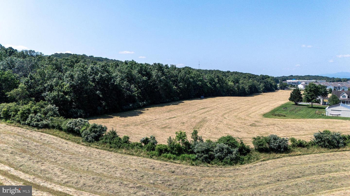 0 CAVE HILL RD, LURAY, Virginia 22835, ,Land,For sale,0 CAVE HILL RD,VAPA2005012 MLS # VAPA2005012