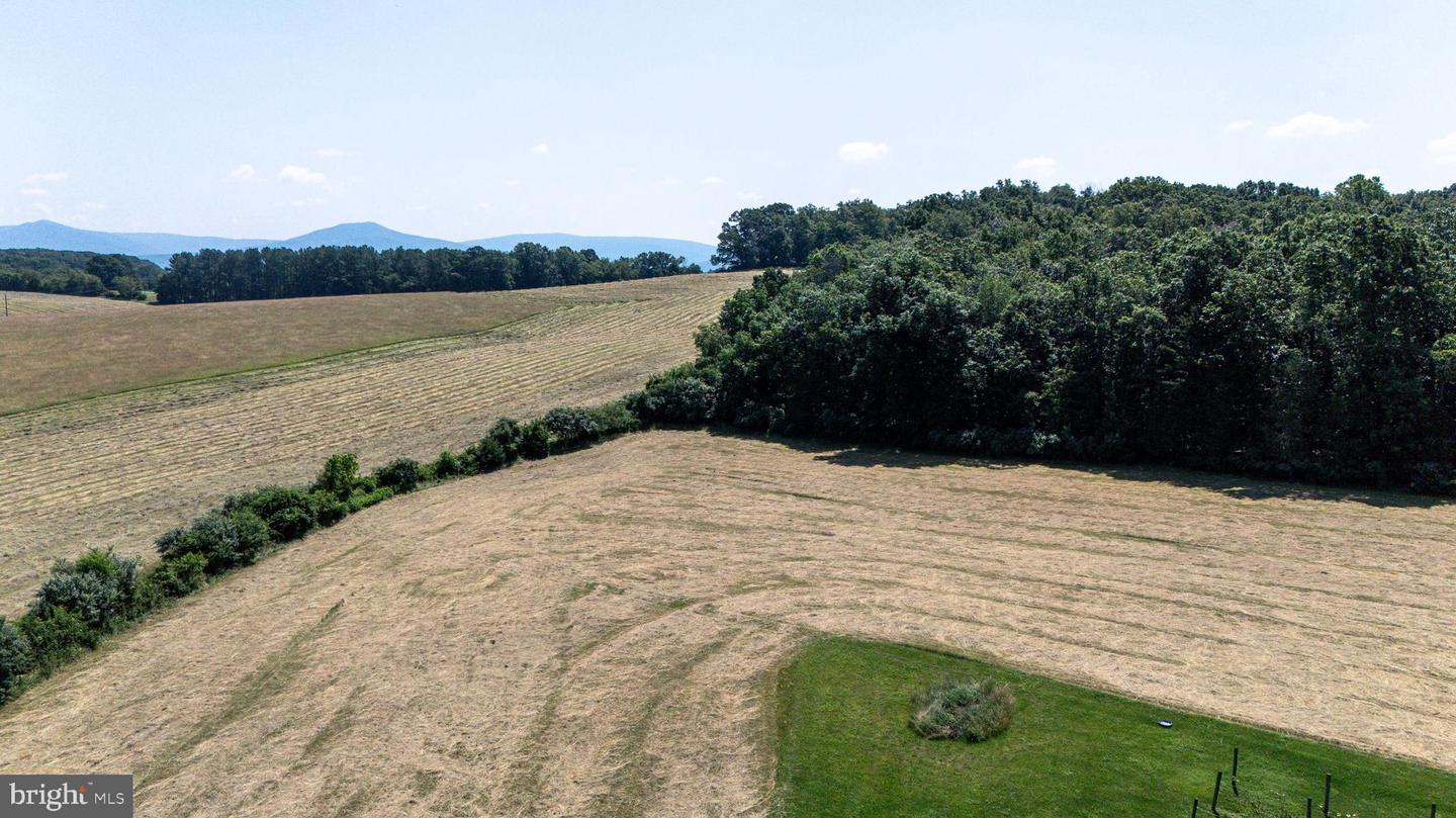 0 CAVE HILL RD, LURAY, Virginia 22835, ,Land,For sale,0 CAVE HILL RD,VAPA2005012 MLS # VAPA2005012