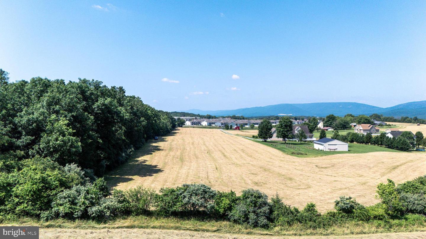 0 CAVE HILL RD, LURAY, Virginia 22835, ,Land,For sale,0 CAVE HILL RD,VAPA2005012 MLS # VAPA2005012