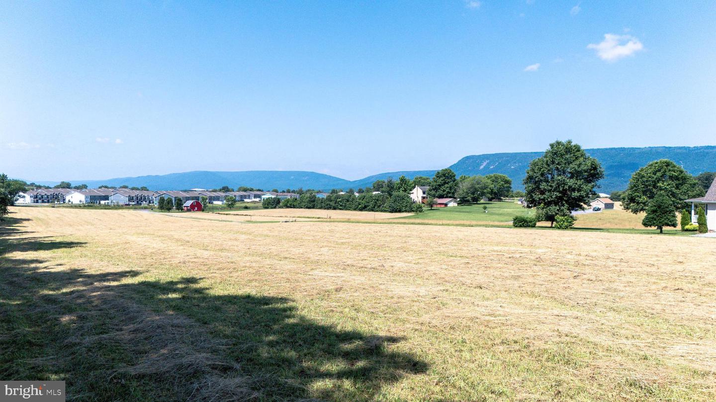 0 CAVE HILL RD, LURAY, Virginia 22835, ,Land,For sale,0 CAVE HILL RD,VAPA2005012 MLS # VAPA2005012