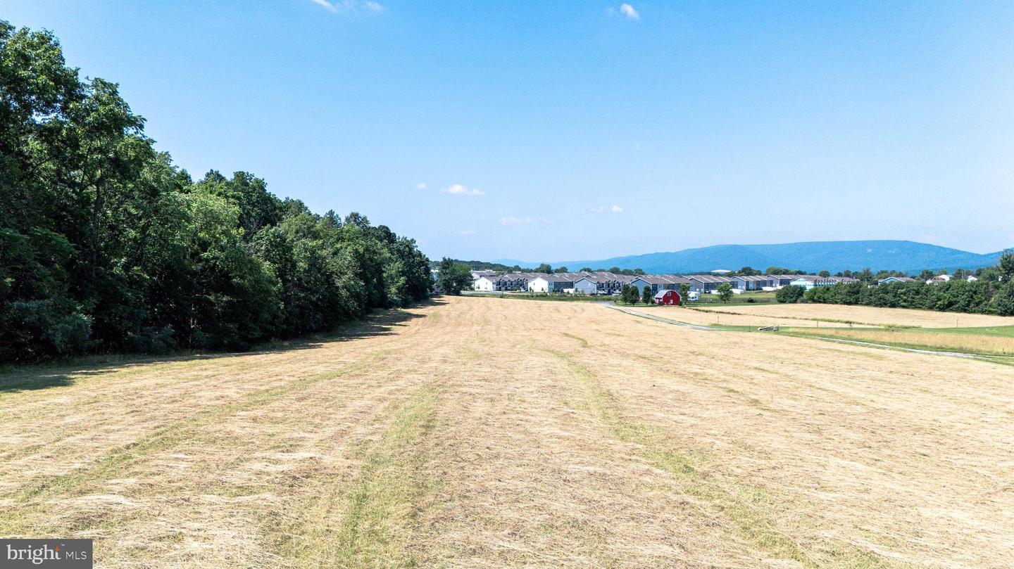 0 CAVE HILL RD, LURAY, Virginia 22835, ,Land,For sale,0 CAVE HILL RD,VAPA2005012 MLS # VAPA2005012