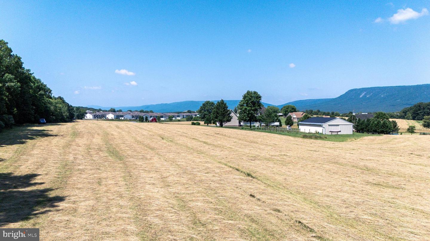 0 CAVE HILL RD, LURAY, Virginia 22835, ,Land,For sale,0 CAVE HILL RD,VAPA2005012 MLS # VAPA2005012