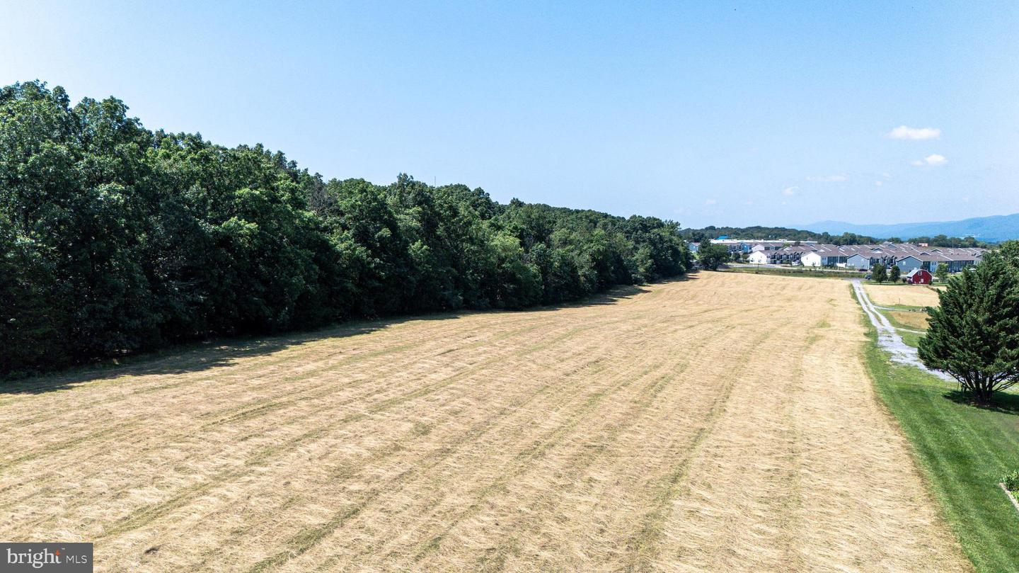 0 CAVE HILL RD, LURAY, Virginia 22835, ,Land,For sale,0 CAVE HILL RD,VAPA2005012 MLS # VAPA2005012