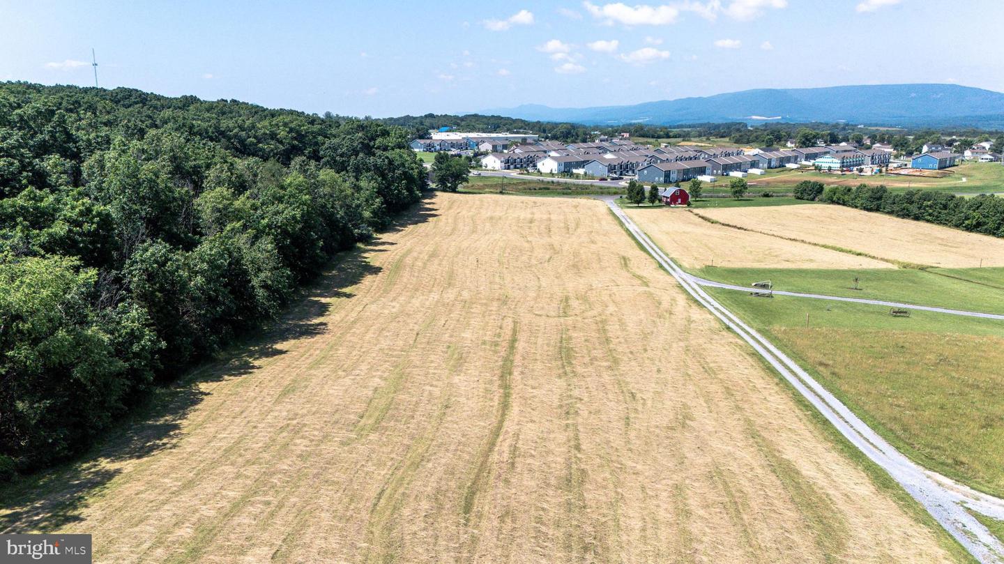 0 CAVE HILL RD, LURAY, Virginia 22835, ,Land,For sale,0 CAVE HILL RD,VAPA2005012 MLS # VAPA2005012