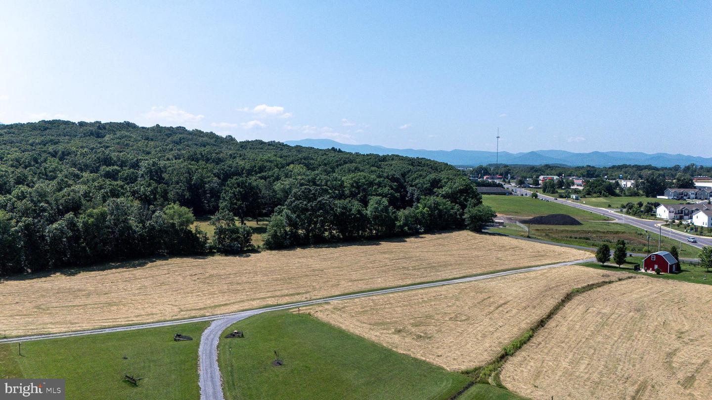 0 CAVE HILL RD, LURAY, Virginia 22835, ,Land,For sale,0 CAVE HILL RD,VAPA2005012 MLS # VAPA2005012