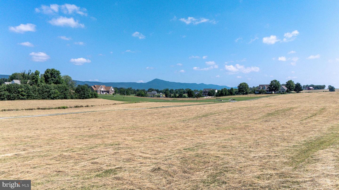 0 CAVE HILL RD, LURAY, Virginia 22835, ,Land,For sale,0 CAVE HILL RD,VAPA2005012 MLS # VAPA2005012