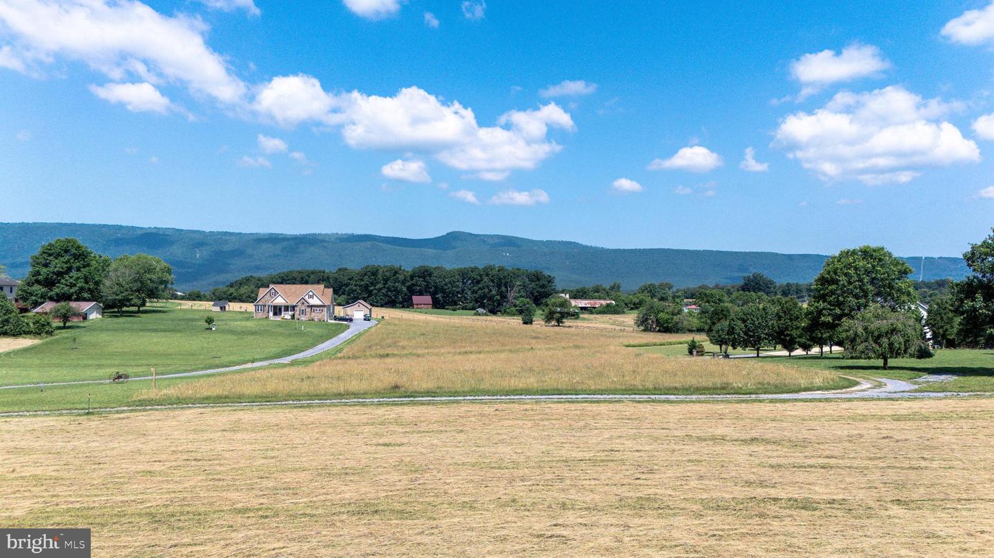 0 CAVE HILL RD, LURAY, Virginia 22835, ,Land,For sale,0 CAVE HILL RD,VAPA2005012 MLS # VAPA2005012