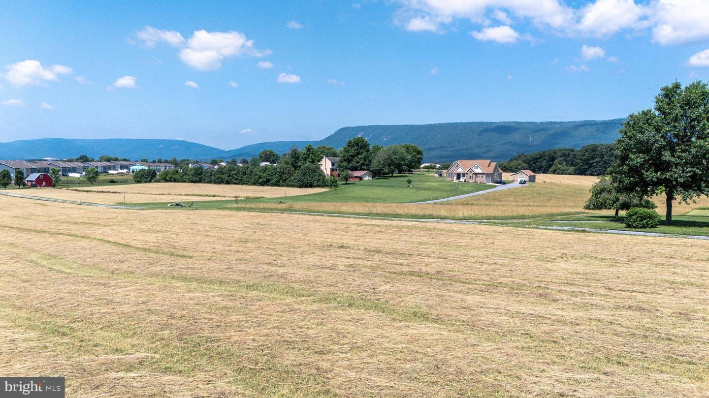 0 CAVE HILL RD, LURAY, Virginia 22835, ,Land,For sale,0 CAVE HILL RD,VAPA2005012 MLS # VAPA2005012