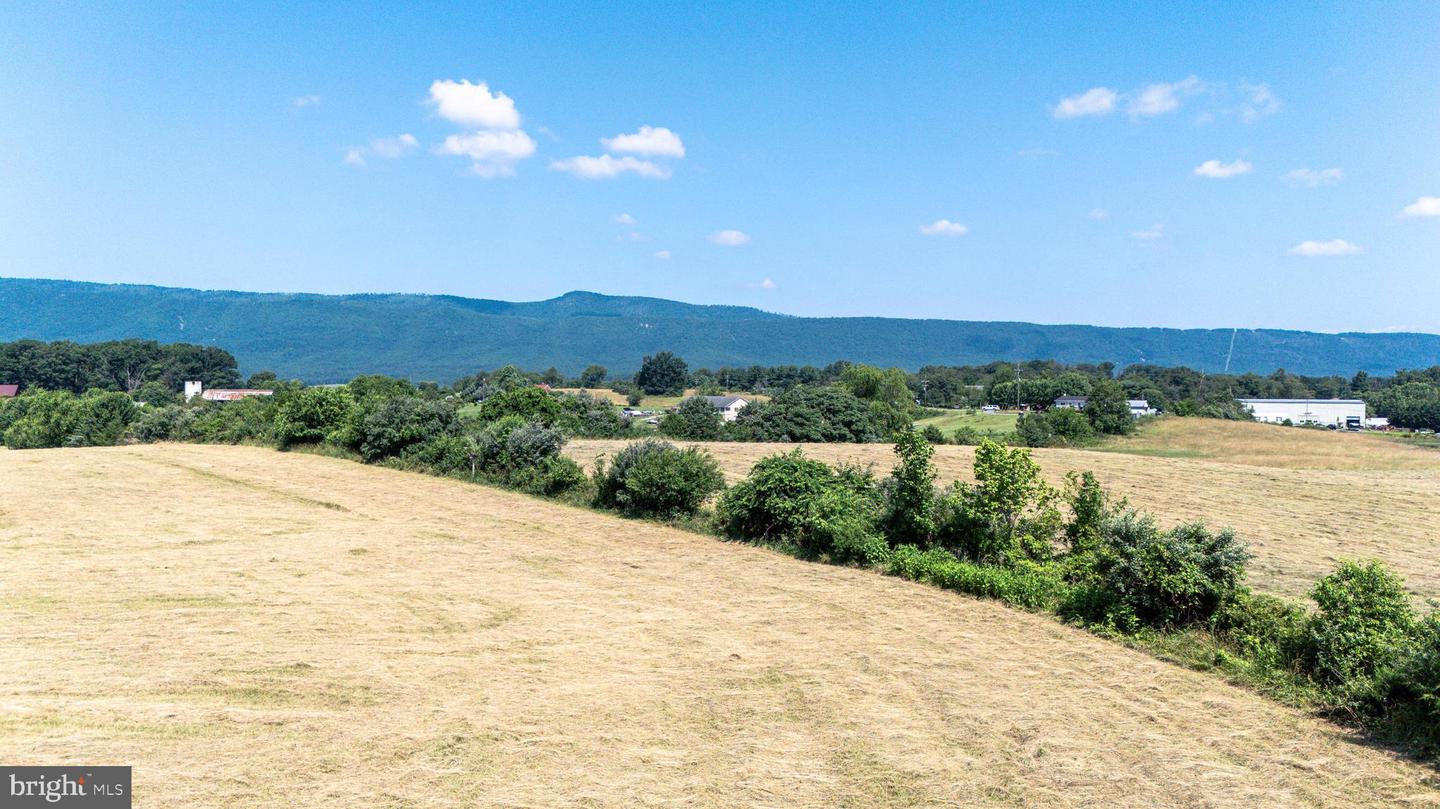 0 CAVE HILL RD, LURAY, Virginia 22835, ,Land,For sale,0 CAVE HILL RD,VAPA2005012 MLS # VAPA2005012