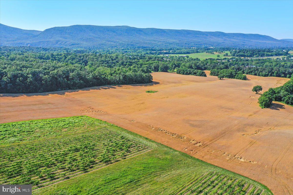 S OX RD EDINBURG, EDINBURG, Virginia 22824, ,Farm,For sale,S OX RD EDINBURG,VASH2011792 MLS # VASH2011792