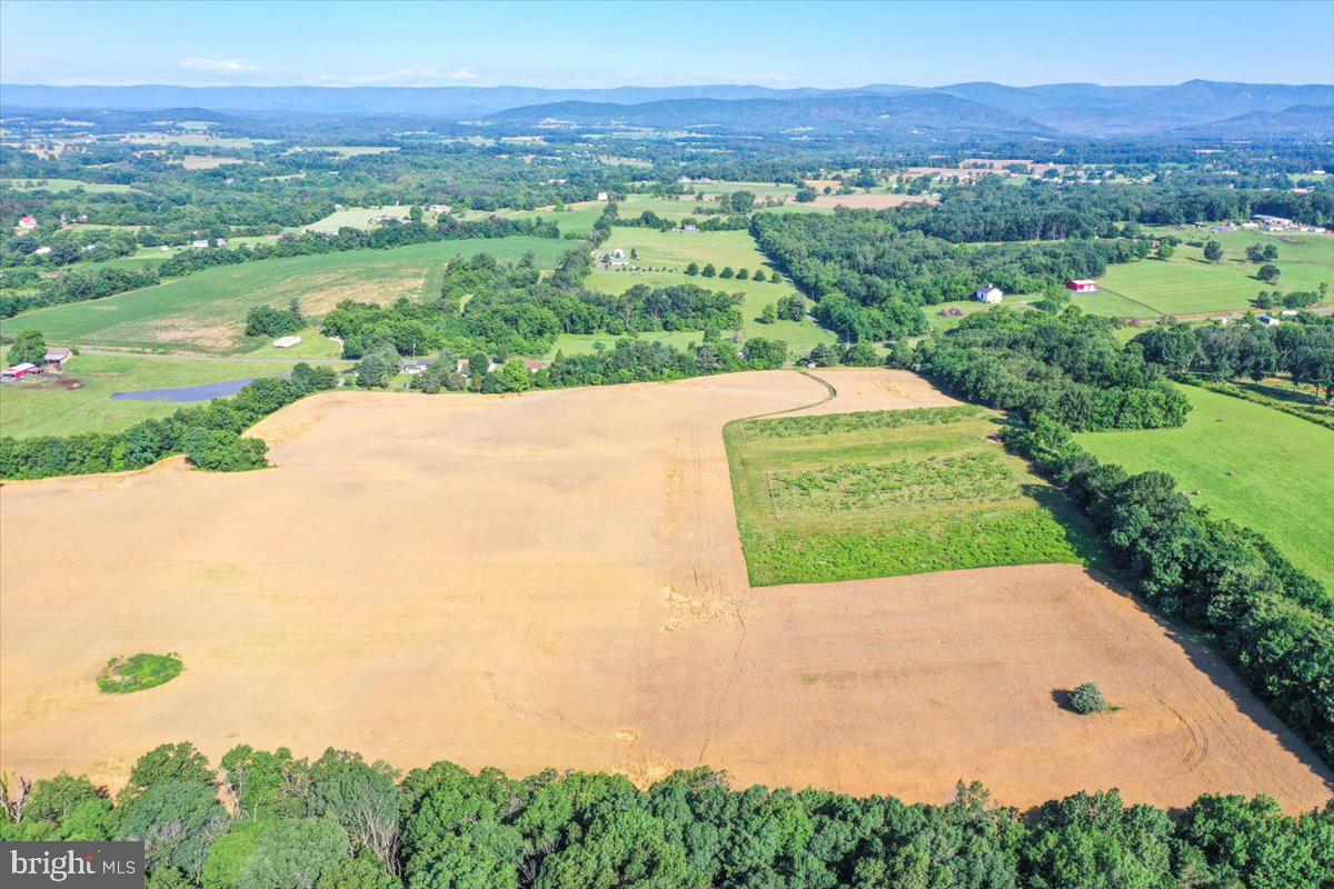S OX RD EDINBURG, EDINBURG, Virginia 22824, ,Farm,For sale,S OX RD EDINBURG,VASH2011792 MLS # VASH2011792