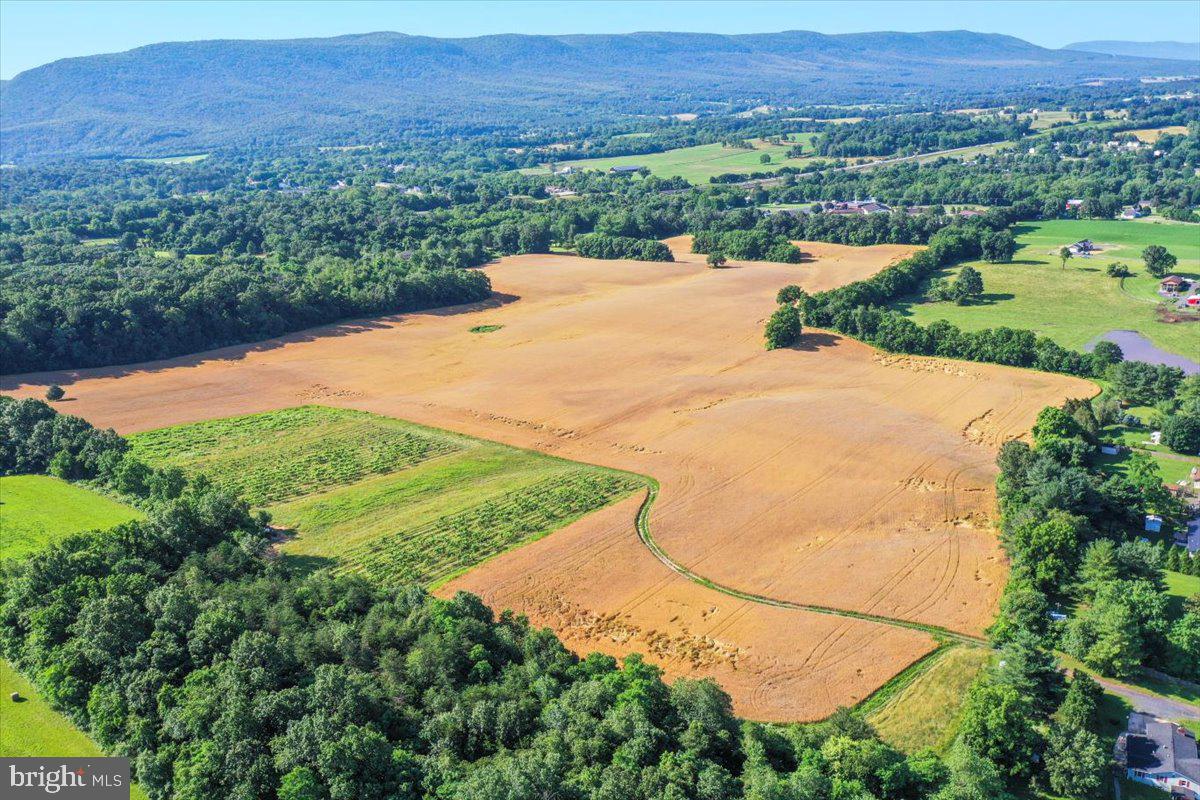 S OX RD EDINBURG, EDINBURG, Virginia 22824, ,Farm,For sale,S OX RD EDINBURG,VASH2011792 MLS # VASH2011792