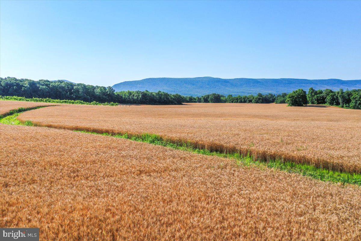 S OX RD EDINBURG, EDINBURG, Virginia 22824, ,Farm,For sale,S OX RD EDINBURG,VASH2011792 MLS # VASH2011792
