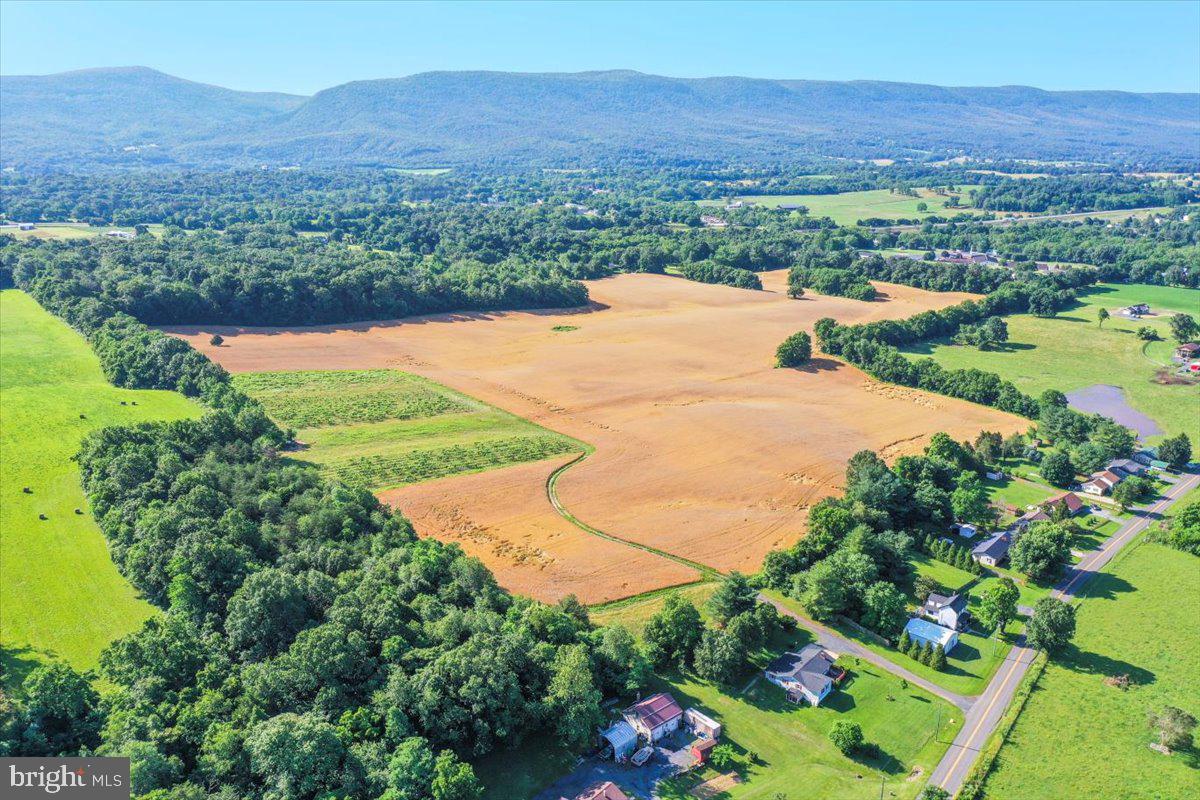 S OX RD EDINBURG, EDINBURG, Virginia 22824, ,Farm,For sale,S OX RD EDINBURG,VASH2011792 MLS # VASH2011792