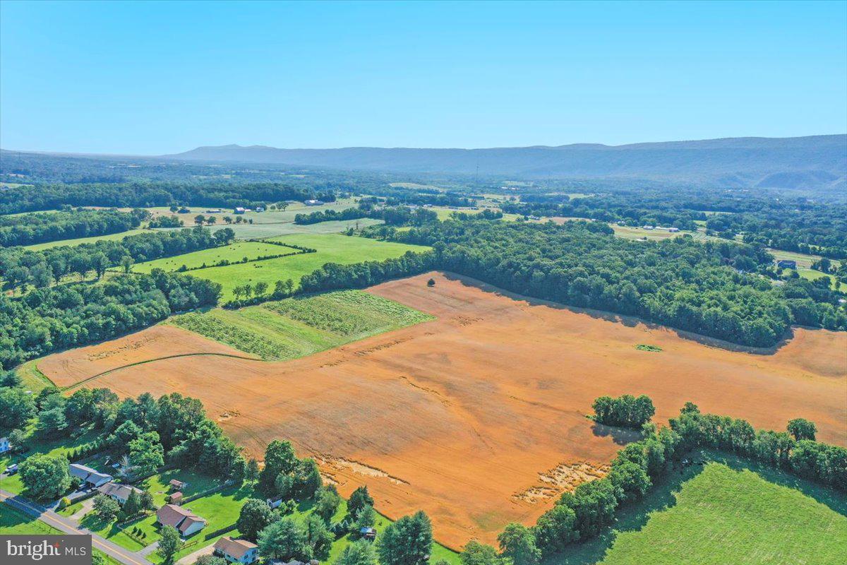 S OX RD EDINBURG, EDINBURG, Virginia 22824, ,Farm,For sale,S OX RD EDINBURG,VASH2011792 MLS # VASH2011792