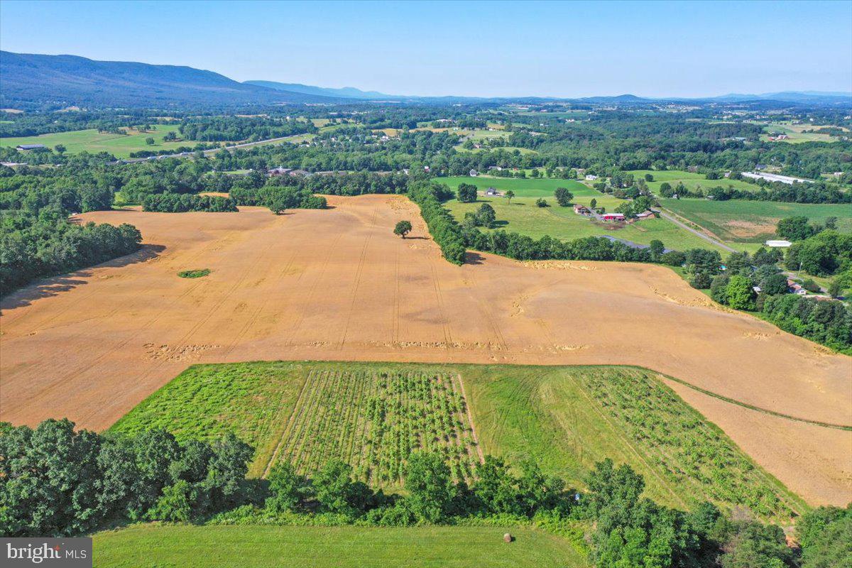 S OX RD EDINBURG, EDINBURG, Virginia 22824, ,Farm,For sale,S OX RD EDINBURG,VASH2011792 MLS # VASH2011792